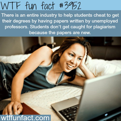 An industry of cheating essays - WTF fun facts