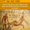 ancient egyptians police used baboons and dogs