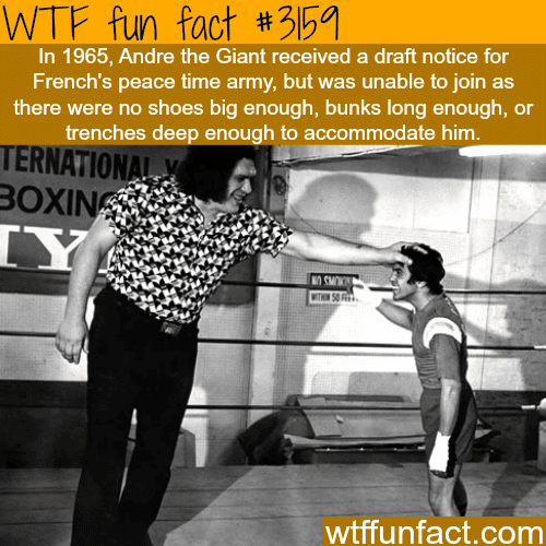 Andre The Giant in the army -  WTF fun facts