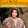 andre the giants fart wtf fun facts