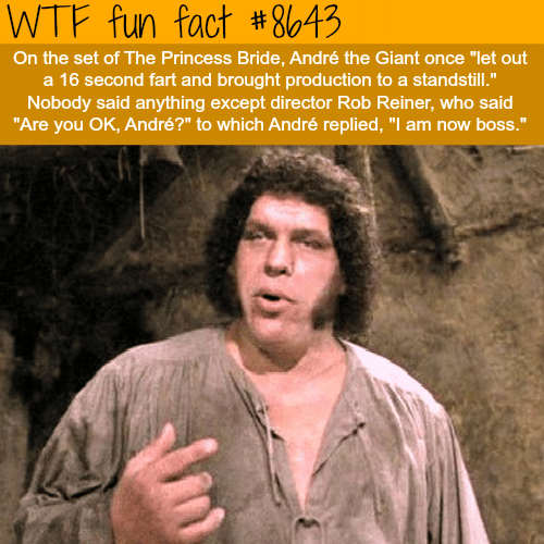 Andre the Giant’s fart - WTF fun facts
