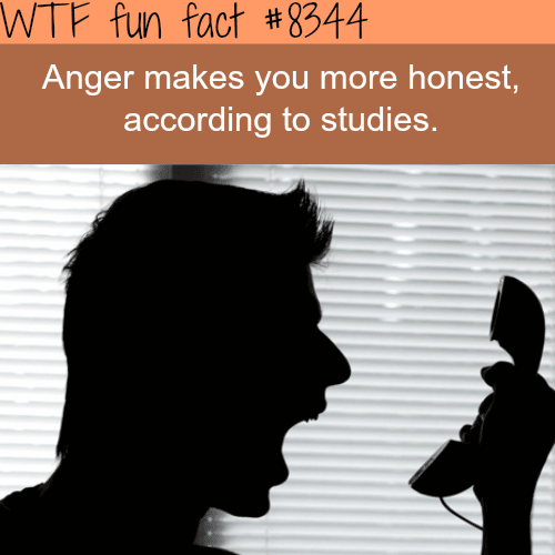 Anger makes you honest - WTF fun facts