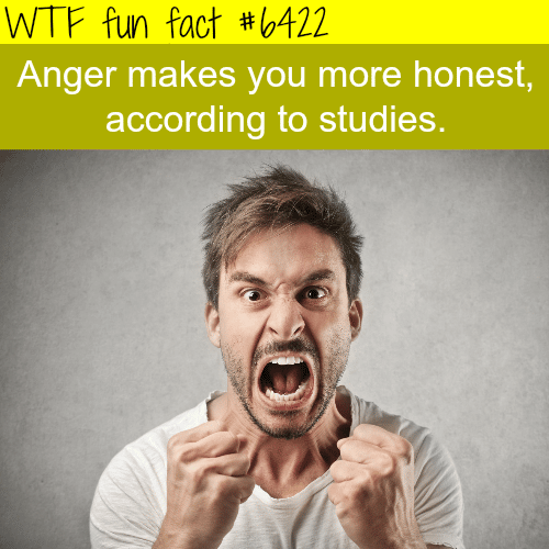 Anger makes you more honest - WTF fun facts