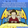 anhedonia wtf fun facts