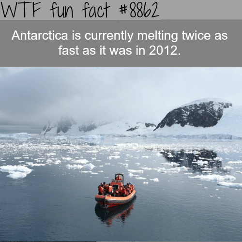Antarctica is melting twice as fast…- WTF fun facts 