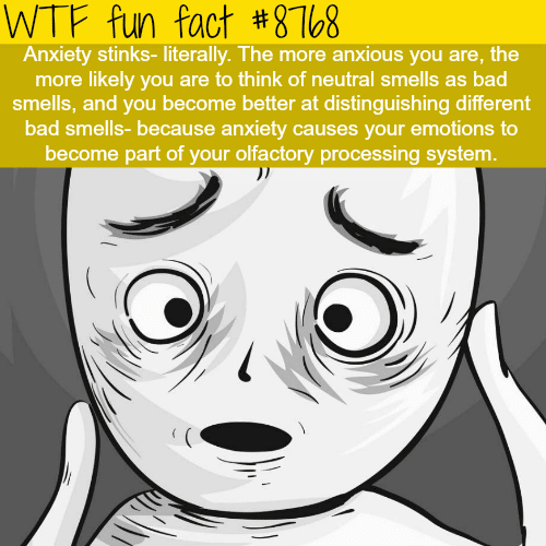 Anxiety Stinks - WTF fun facts