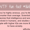 anxious people are smarter than average wtf fun