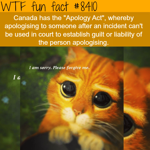 Apology Act - WTF fun facts