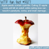 apple seeds are harmful and could kill you wtf