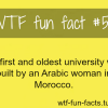 arab history