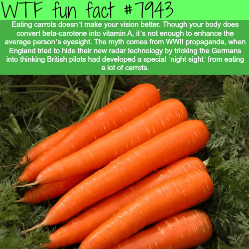 Are carrots good for your eyes? - WTF fun facts