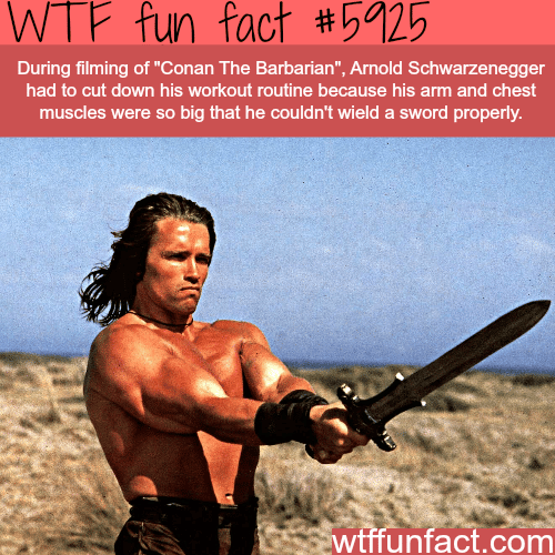 Arnold Schwarzenegger in Conan The Barbarian - WTF fun facts