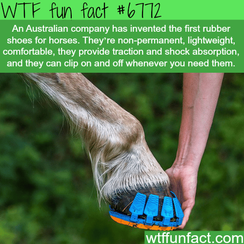 Australian company made the first rubber shoes for horses - WTF fun fact