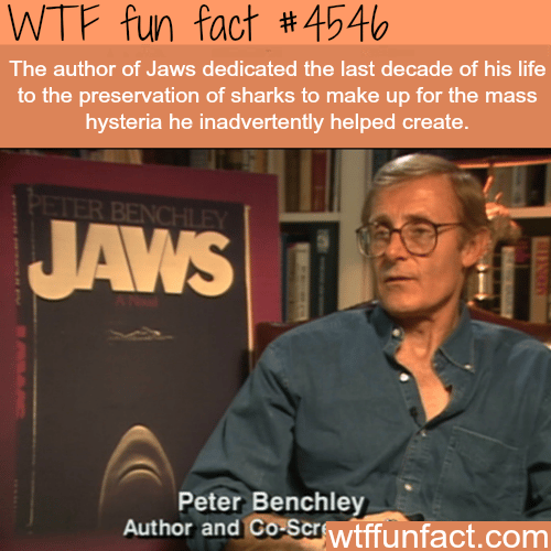 Author of Jaws dedicated his last years to shark preservation -   WTF fun facts