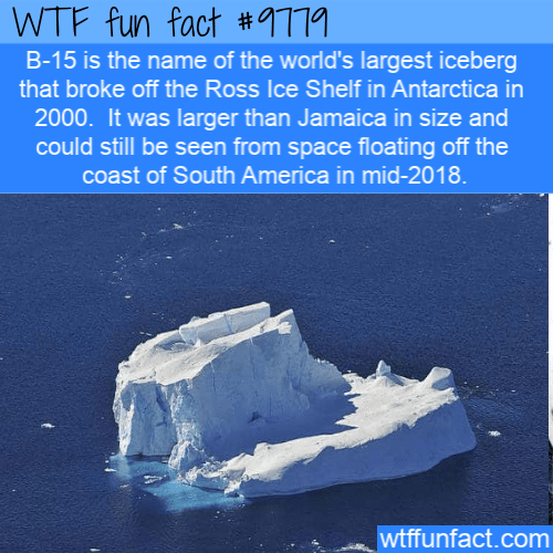 B-15 is the name of the world’s largest iceberg that broke off the Ross Ice Shelf in Antarctica in 2000.  It was larger than Jamaica in size and could still be seen from space floating off the coast of South America in mid-2018.