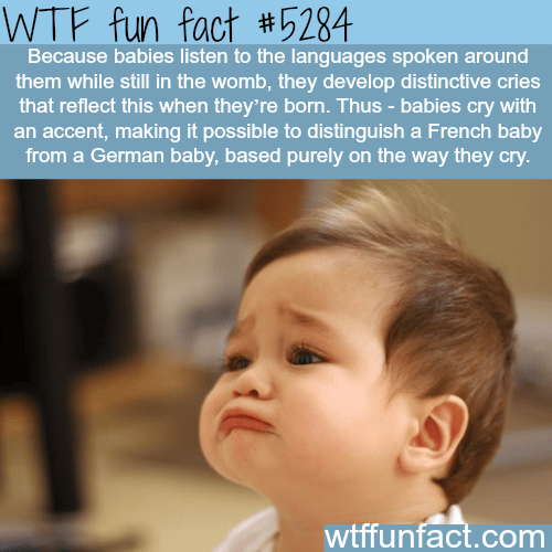 Babies cry with accent - WTF fun facts