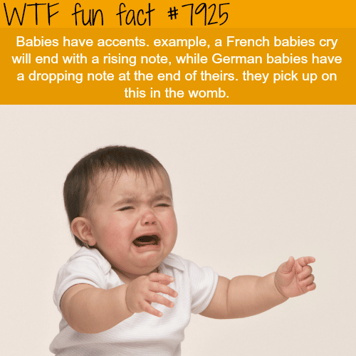 Babies have accents - WTF fun facts