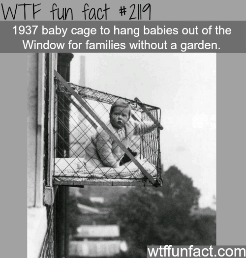 Baby cage to hang babies out of the window - WTF fun facts