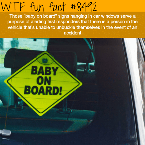 BABY ON BOARD! Signs - WTF fun facts