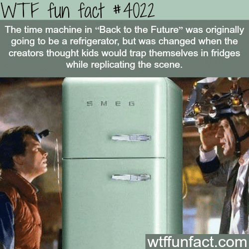 Back to the Future refrigerator time machine - WTF fun facts