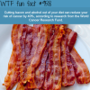 bacon and alcohol wtf fun fact
