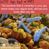 bacteria in your gut will eat you after you die