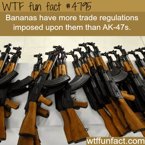 Bananas vs AK-47 - WTF fun facts