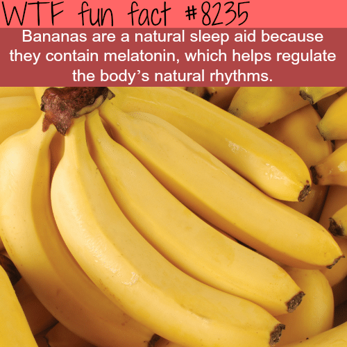 Bananas will help you sleep better - WTF fun facts