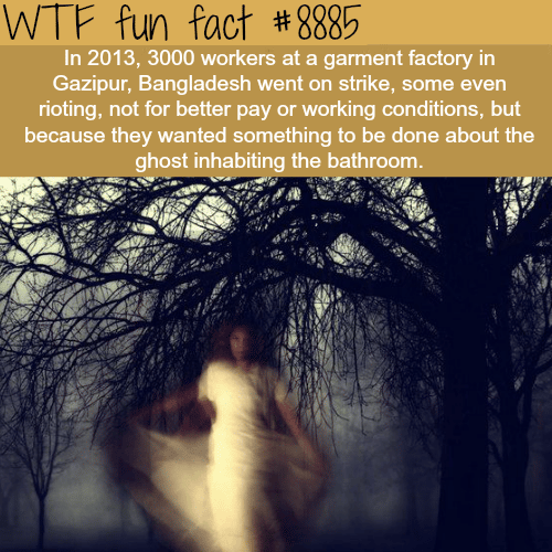 Bangladesh factory workers go on strike over a ghost - WTF fun facts