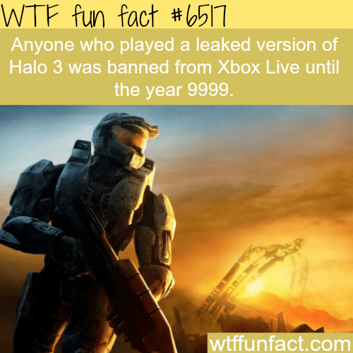 Banned until the year 9999 for playing a leaked version of Halo - WTF fun facts