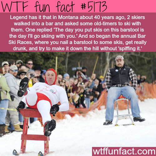Barstool skiing - WTF fun facts