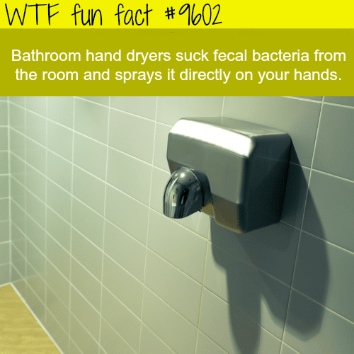 Bathroom Hand Dryers - WTF fun fact