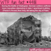 battle of stalingrad wtf fun facts