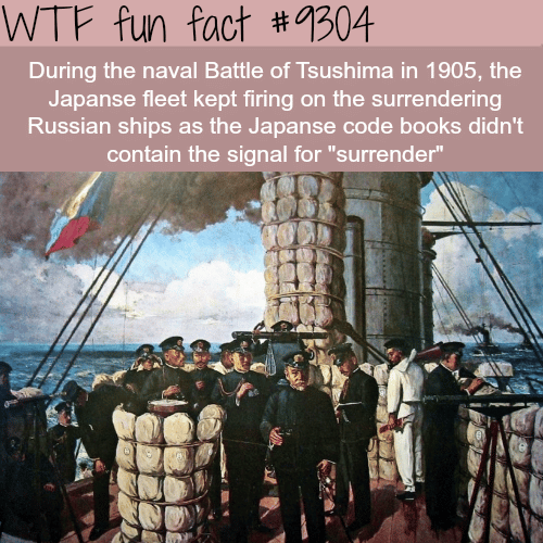 Battle of Tsushima - WTF fun fact