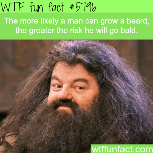 Beards facts - WTF fun facts