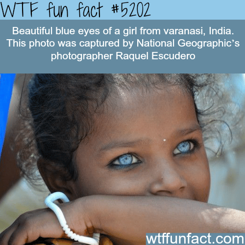 Beautiful blue eyes of an Indian girl - WTF fun facts