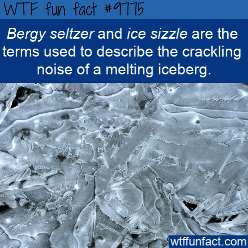 Bergy seltzer and ice sizzle are the terms used to describe the crackling noise of a melting iceberg.