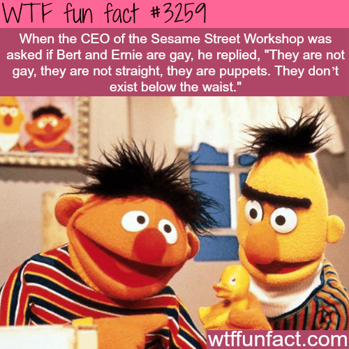 Bert and Ernie gay? -  WTF fun facts