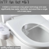 bidet vs toilet paper wtf fun facts