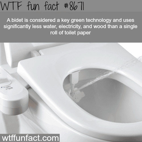 Bidet vs toilet paper - WTF fun facts