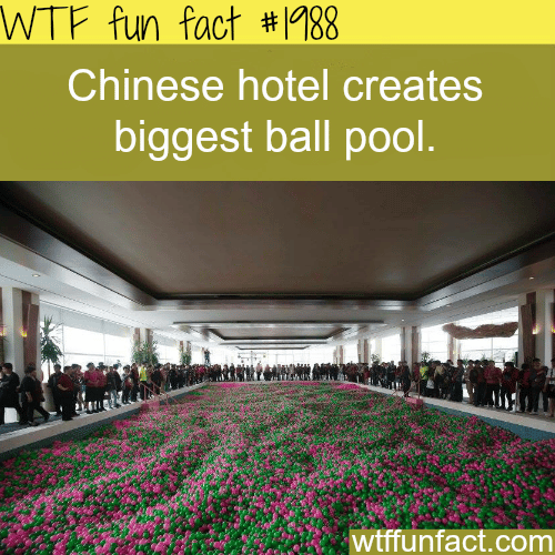 biggest ball pool - WTF fun facts
