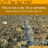 biggest cemetery in the world
