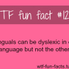 bilinguals can be dyslexic in one language but not the o