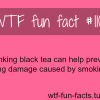black tea and cancer hair loss lunge damage