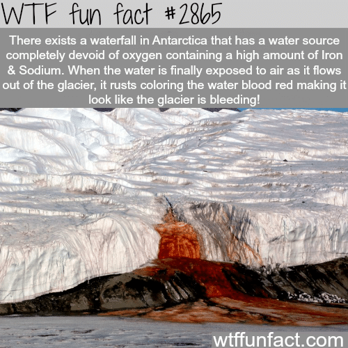 Bleeding waterfall in Antarctica -  WTF fun facts