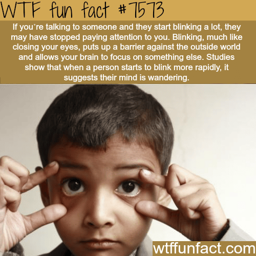 Blinking during a conversation - WTF fun facts