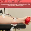 blood donors wtf fun facts