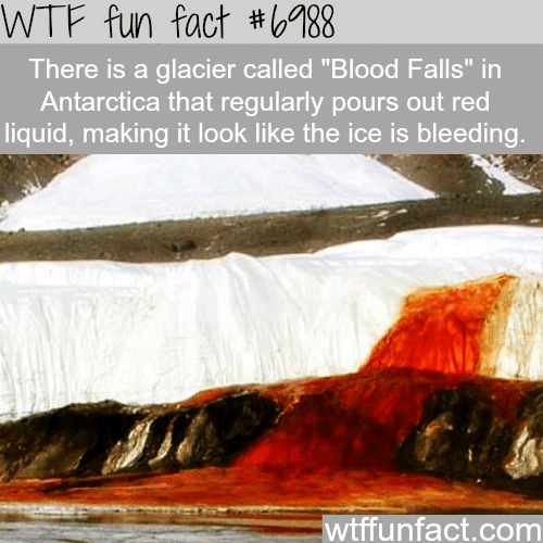 Blood Falls - WTF fun facts