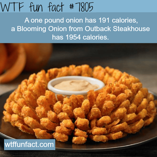 Blooming Onion - WTF fun facts
