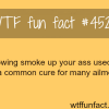 blowing smoke up your ass wtf fun facts
